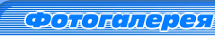 fotos label